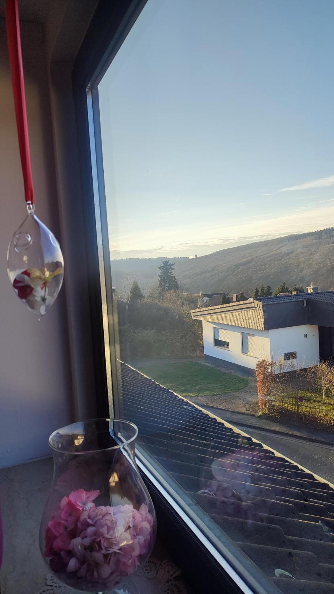 Kermeterblick Apartment Schleiden Exterior foto